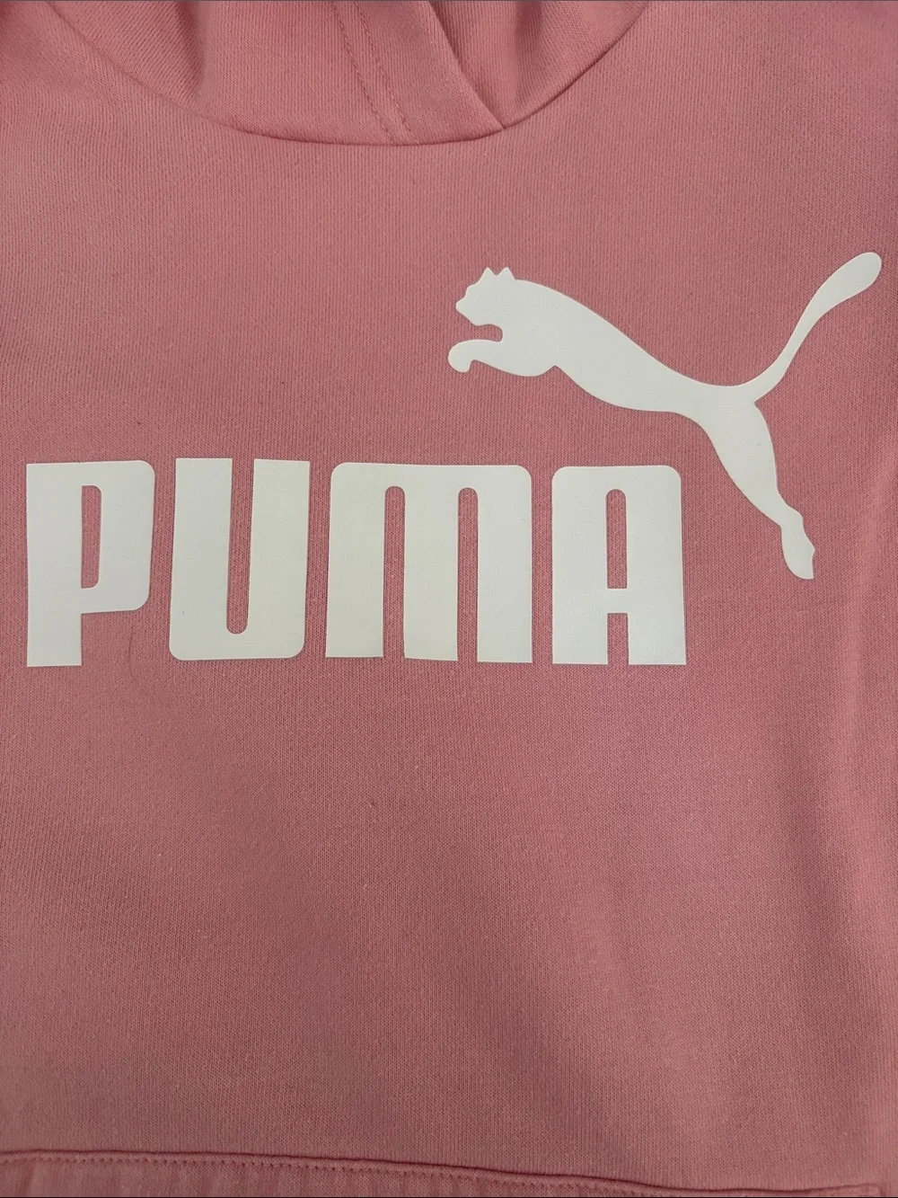 Puma Dusty Rose Hoodie with White Logo